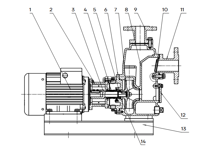 Конструкция насоса CNP ZW